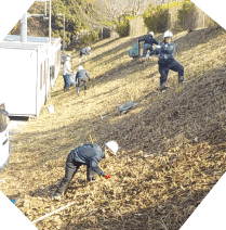 斜面の枯れ葉や草を取り、掃除をしている場面