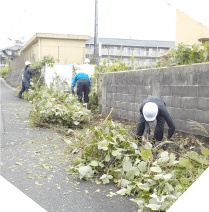 道路わきに生えている大量のつる性植物をとり集めている場面