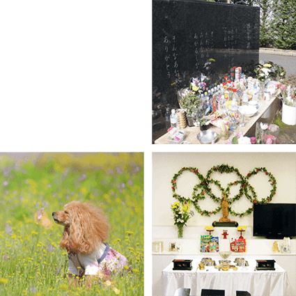 黒い石碑の前に献花台があり、たくさんの花や飲み物、フードが置かれているワンズハート屋外の共同供養塔。スパニエル系の耳の長い小型犬が花柄の洋服を着て野原の中に佇んでいる画像。木製の仏像が据えられており、ドッグフード、花、仏式道具などが置かれているワンズハート月例祭で使う仏式法要の祭壇。